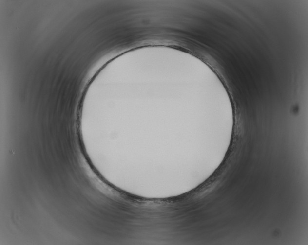 X0000115810803200912241913