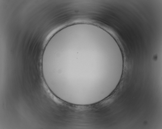 X0000115810807200912241913