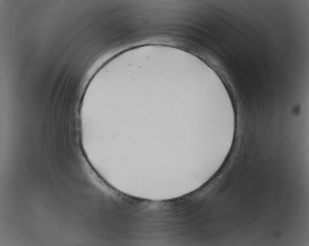 X0000115810808200912241913