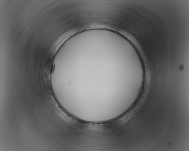 X0000115810809200912241913
