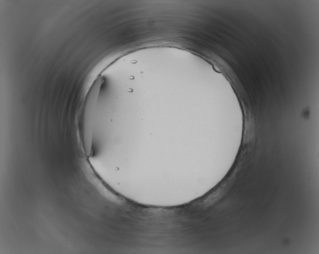 X0000115810812200912241913