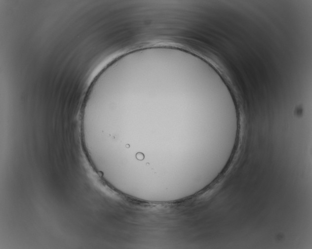 X0000115810814200912241913