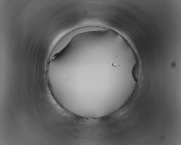 X0000115810815200912241913