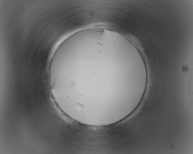 X0000115810816200912241913