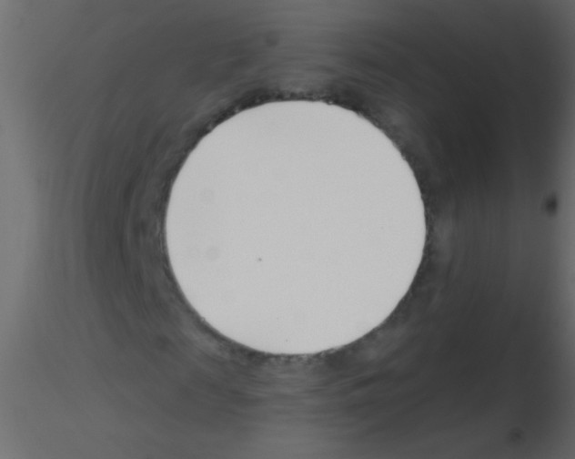 X0000115810817200912241912