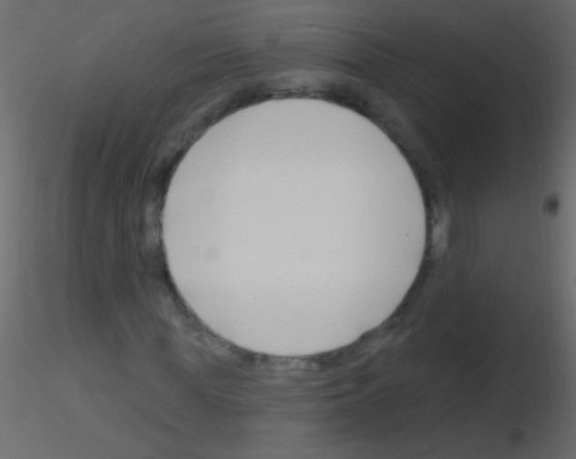 X0000115810819200912241912