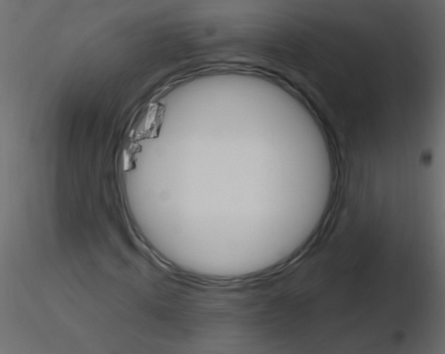 X0000115810820200912241912