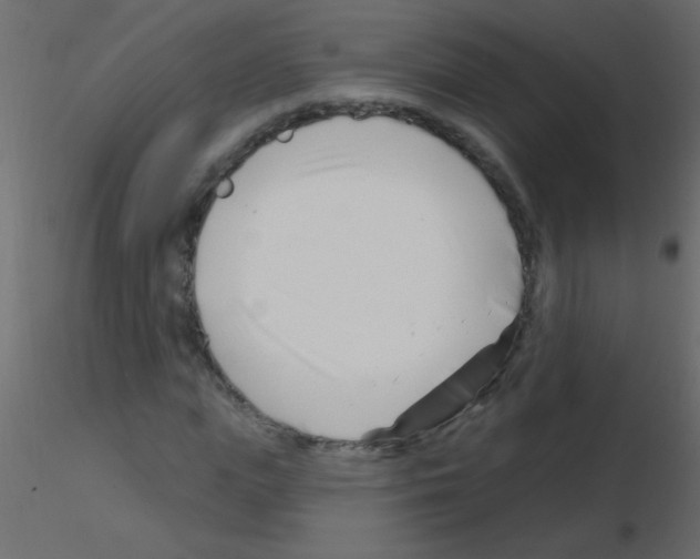 X0000115810823200912241912