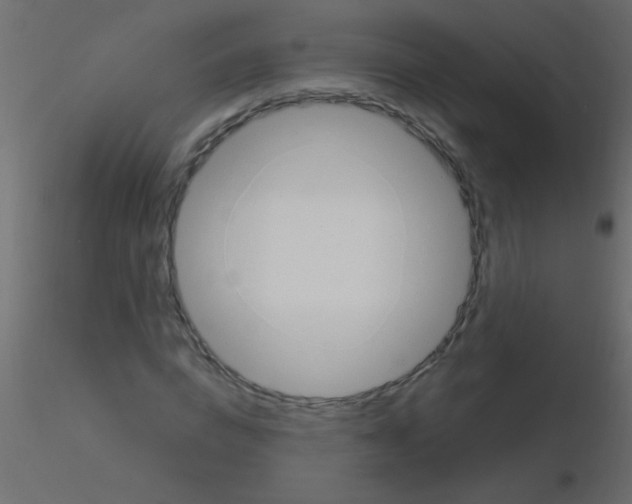 X0000115810824200912241912
