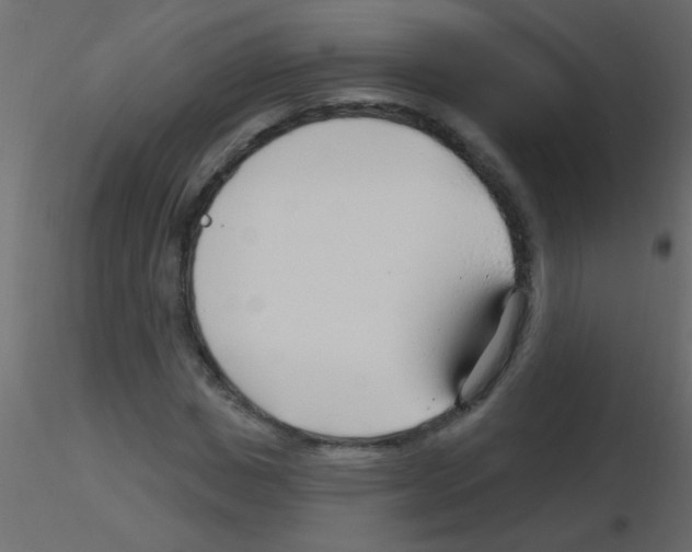 X0000115810825200912241912