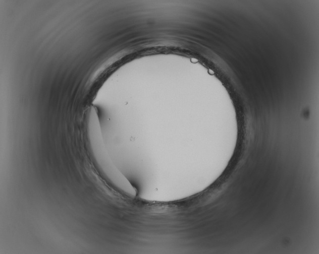 X0000115810826200912241912