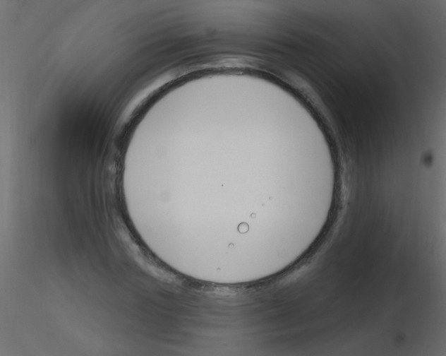 X0000115810827200912241912