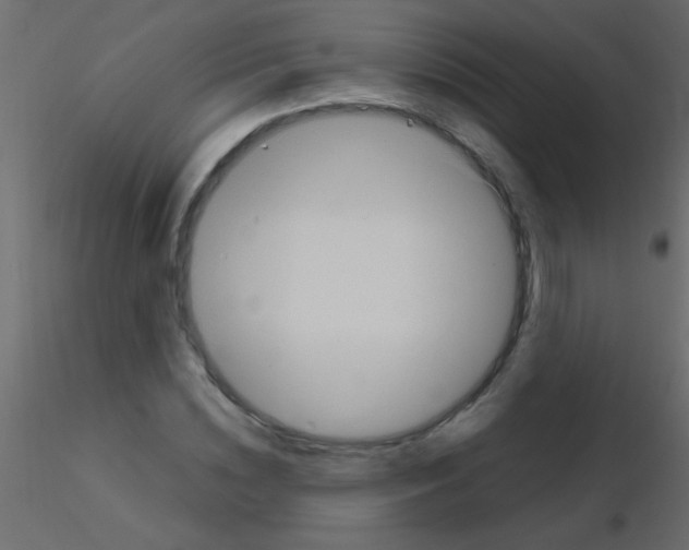 X0000115810828200912241912
