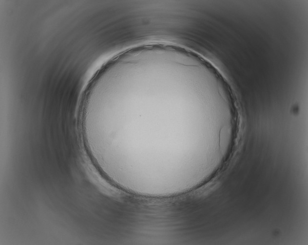X0000115810832200912241912
