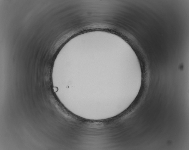 X0000115810833200912241912