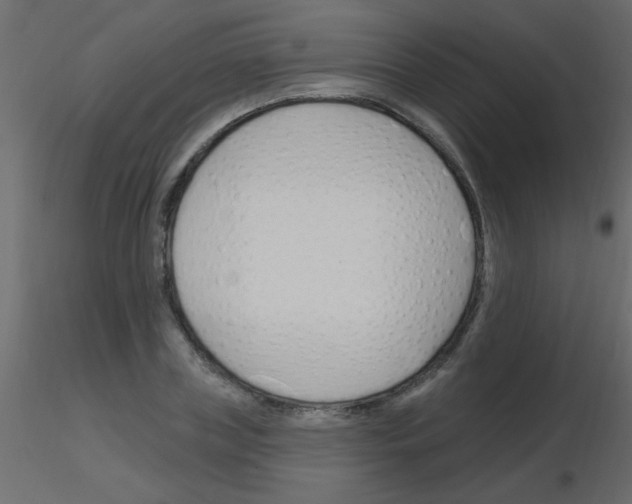 X0000115810835200912241912