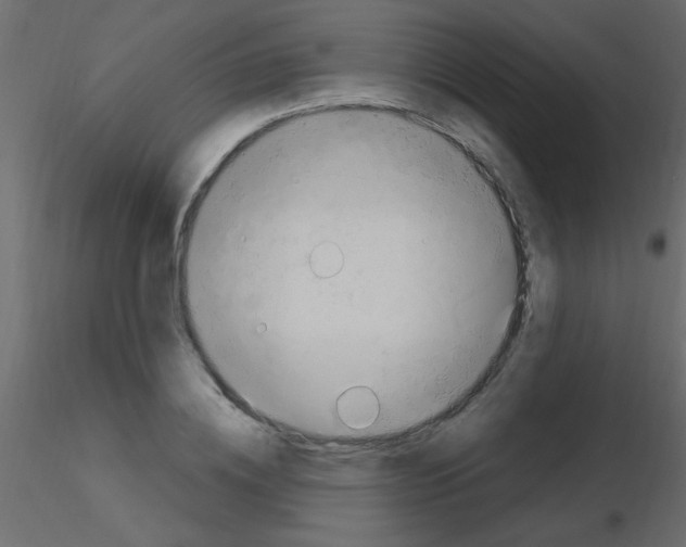 X0000115810836200912241912