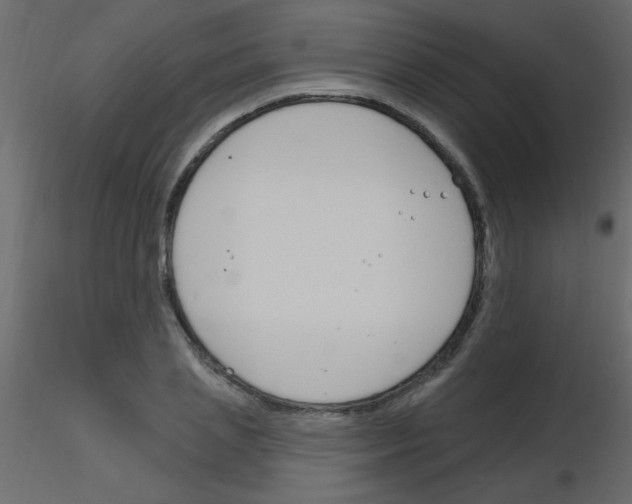 X0000115810837200912241912