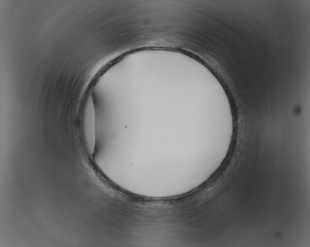 X0000115810838200912241912