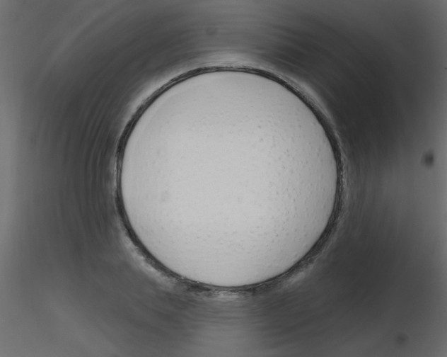 X0000115810839200912241912