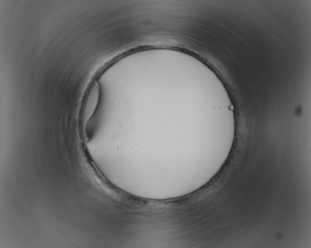 X0000115810840200912241912