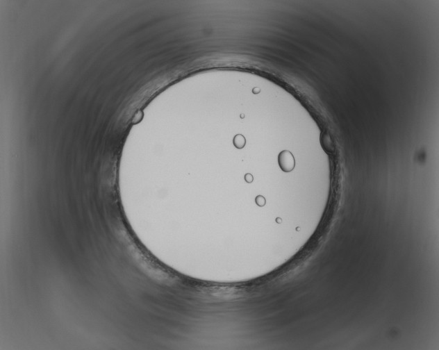X0000115810841200912241912