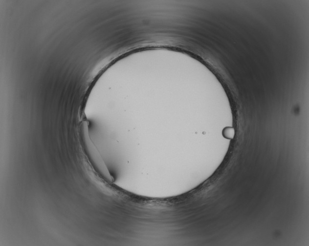 X0000115810842200912241912
