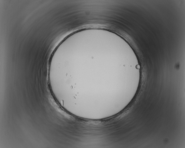 X0000115810844200912241912