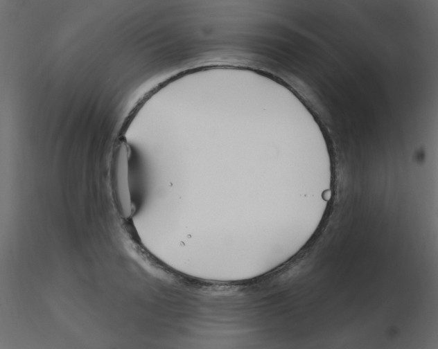X0000115810846200912241912