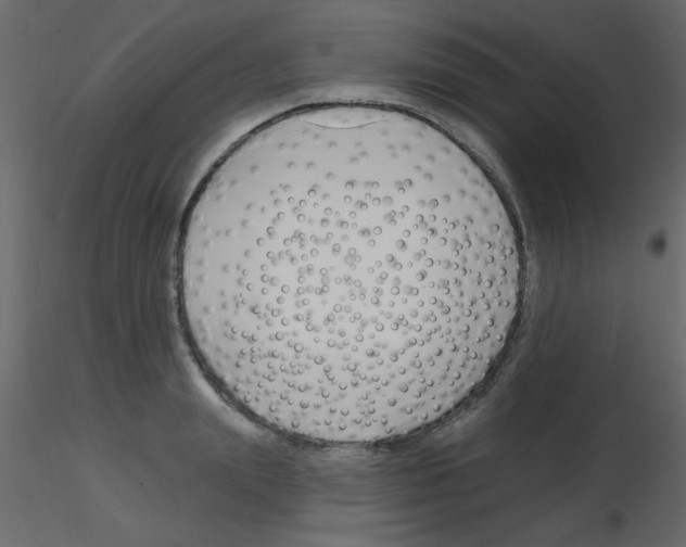 X0000115810847200912241912