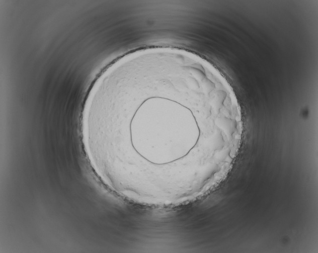 X0000115810848200912241912