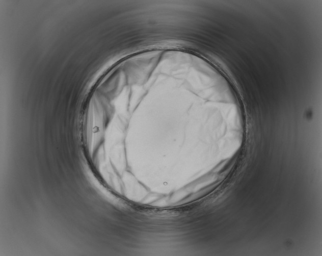X0000115810851200912241912