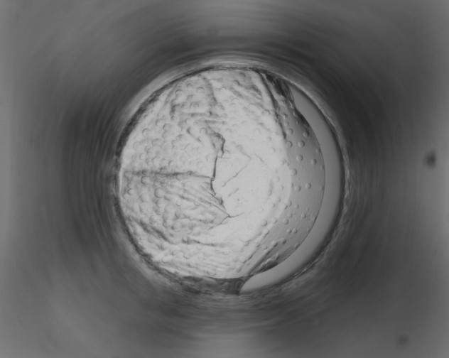 X0000115810853200912241912