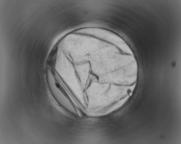 X0000115810854200912241912