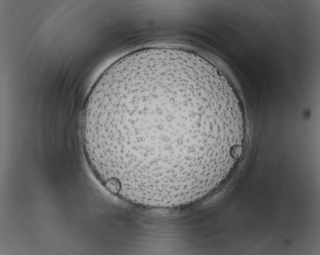 X0000115810855200912241912