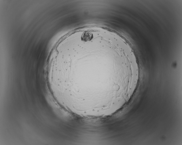X0000115810856200912241912