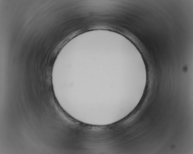 X0000115810857200912241912