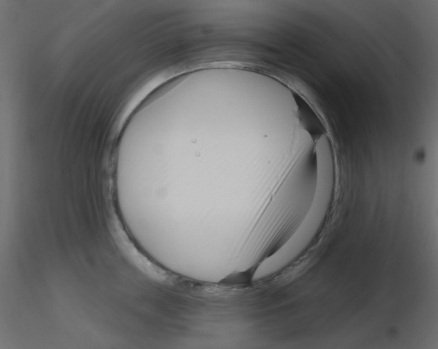 X0000115810859200912241913