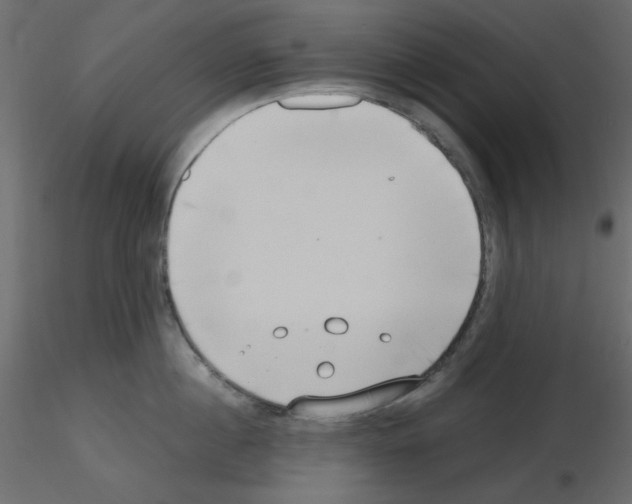 X0000115810860200912241913