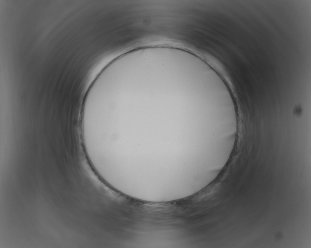 X0000115810863200912241913