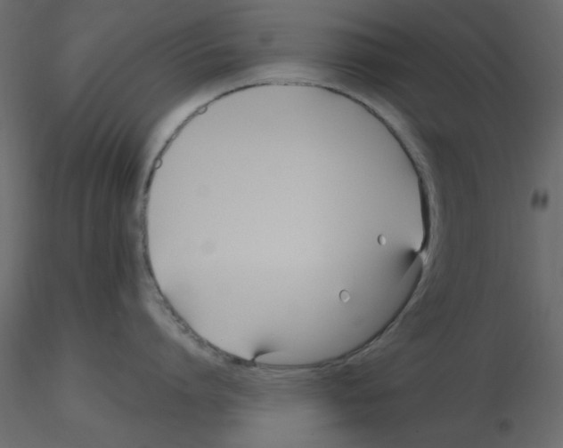 X0000115810864200912241913