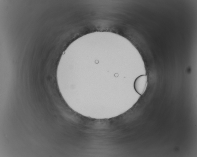 X0000115810865200912241912