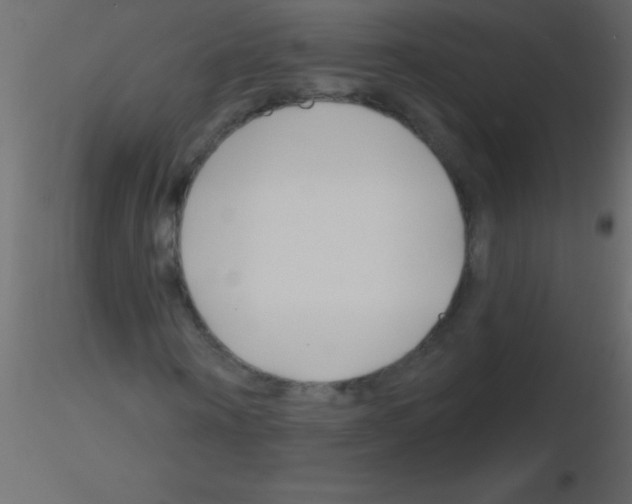 X0000115810866200912241912