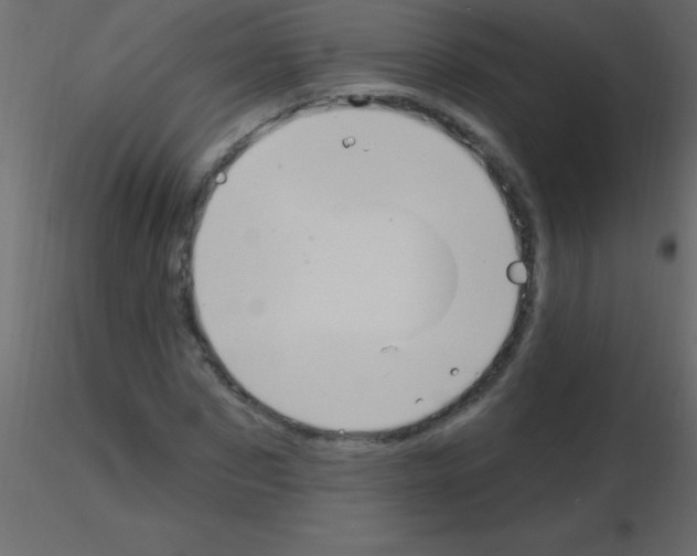 X0000115810873200912241912