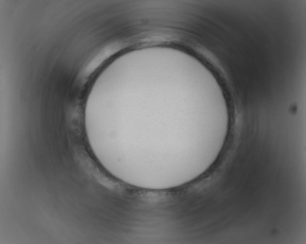 X0000115810874200912241912