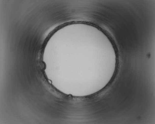 X0000115810875200912241912