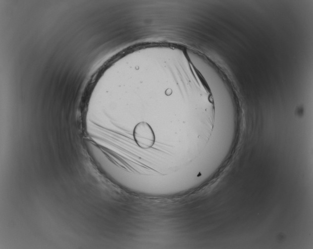 X0000115810876200912241912