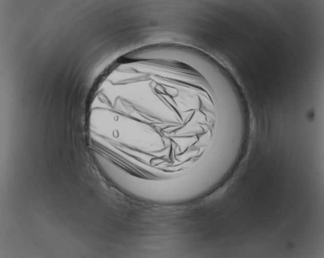 X0000115810877200912241912