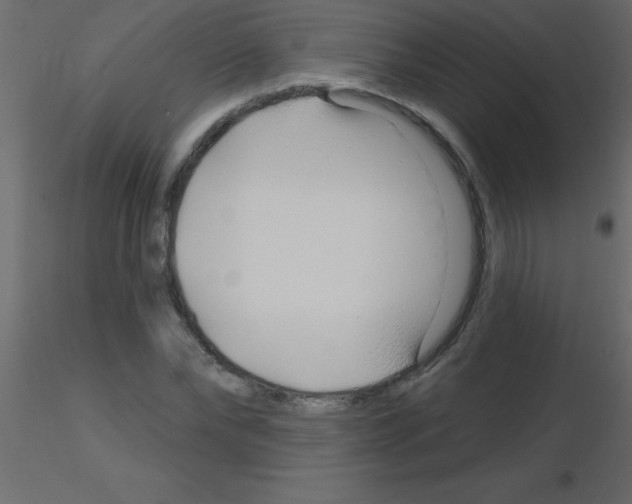 X0000115810878200912241912