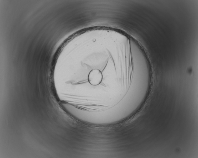 X0000115810880200912241912